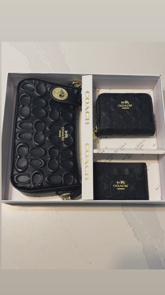 Mini bolsa inspirada por Coach