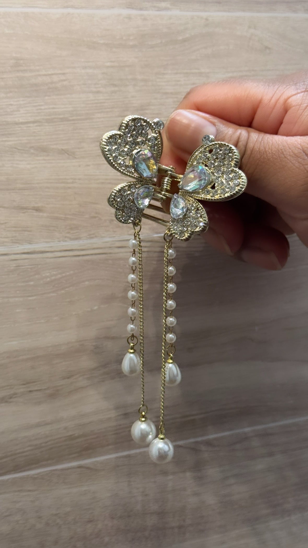 Clips de Mariposas- Clips of Butterfly’s