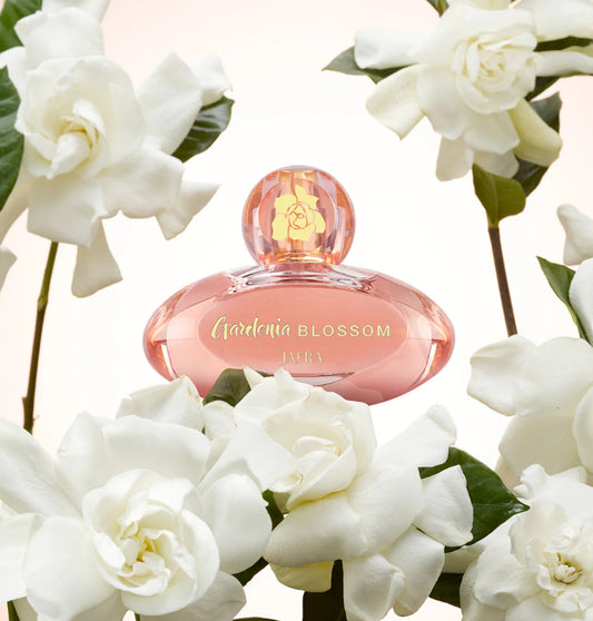 Gardenia Blossom