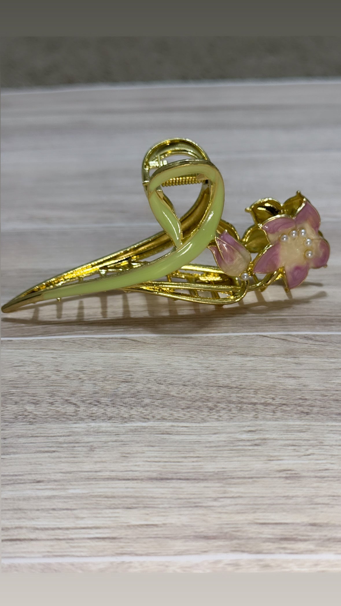 Clip de garra/ Claw clip