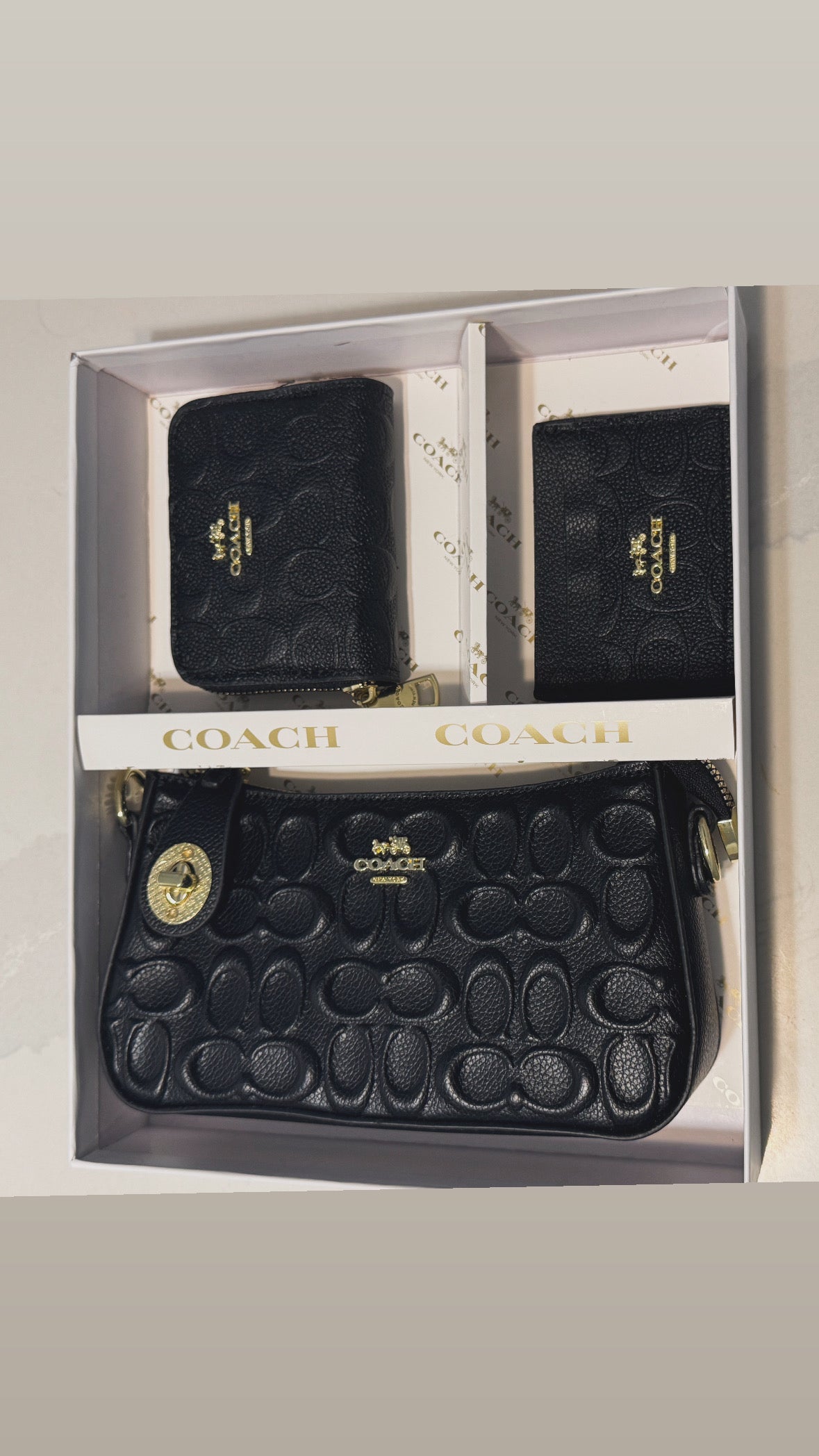 Mini bolsa inspirada por Coach