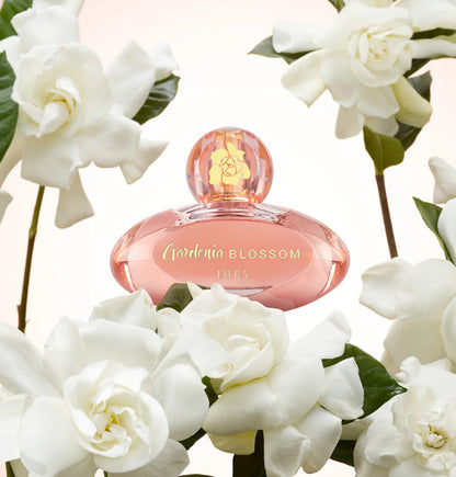 Gardenia Blossom